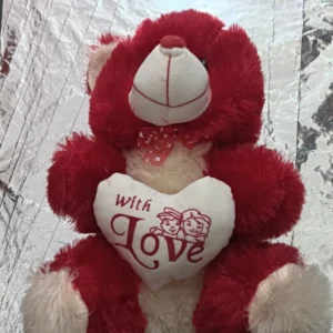 Red & Cream Love Teddy Bear